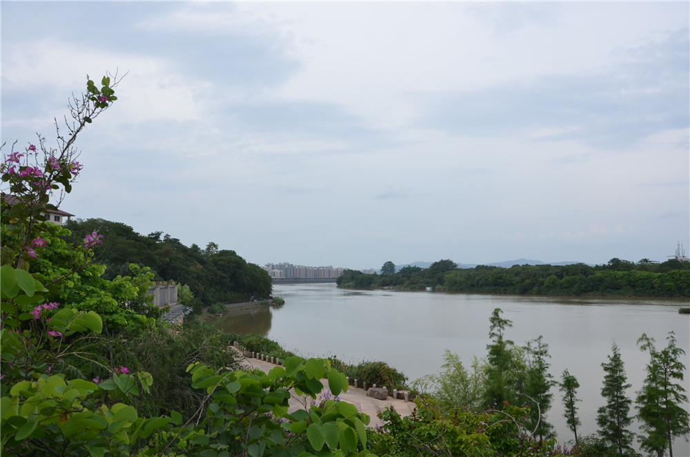 國務院：聚焦企業關切，進一步推動優化營商環境政策落實